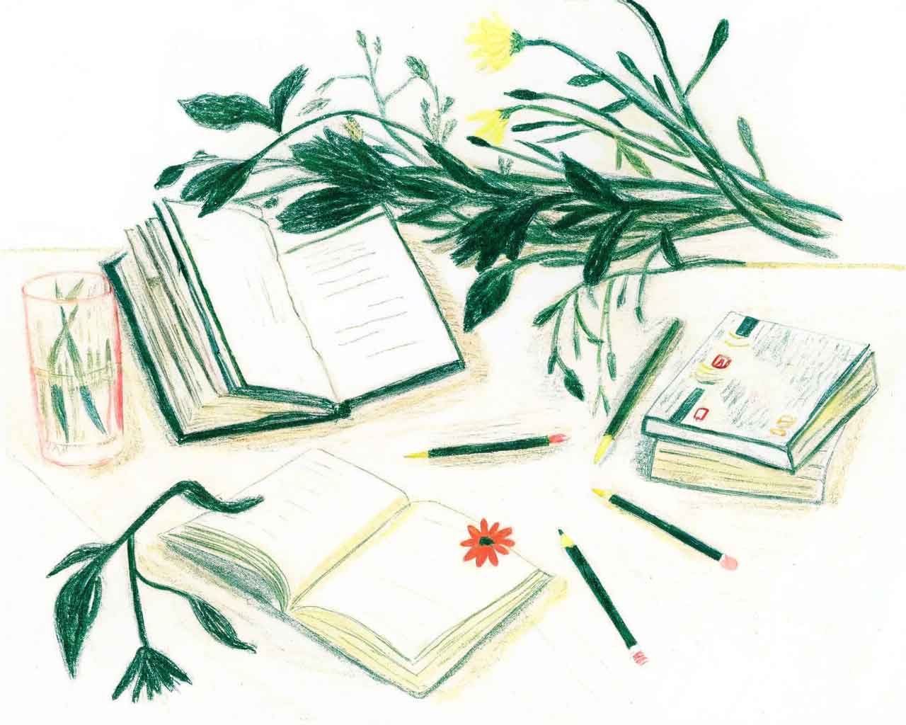 Collaborative learning and mentorship during the Synthesis programme