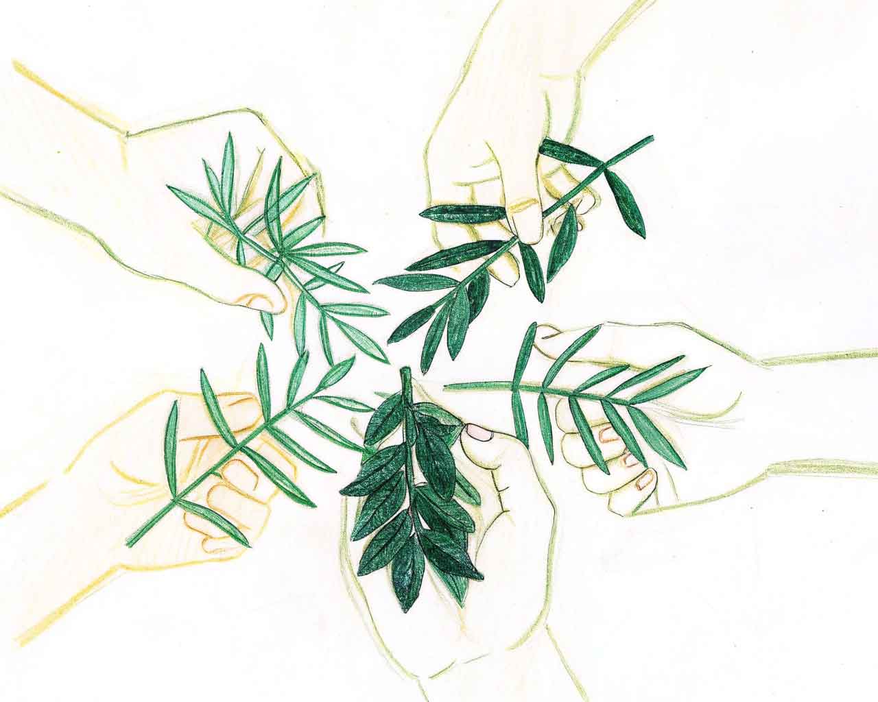 Participants engaged in a collaborative learning exercise illustrating holistic education at Under The Banyan