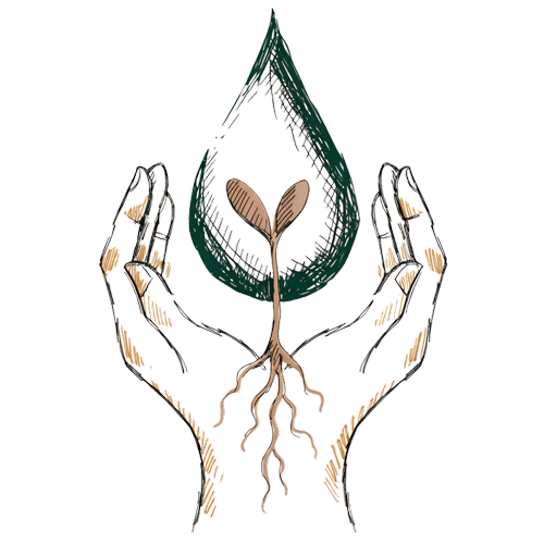 Nourishment value icon — sustained growth through curiosity and wellbeing