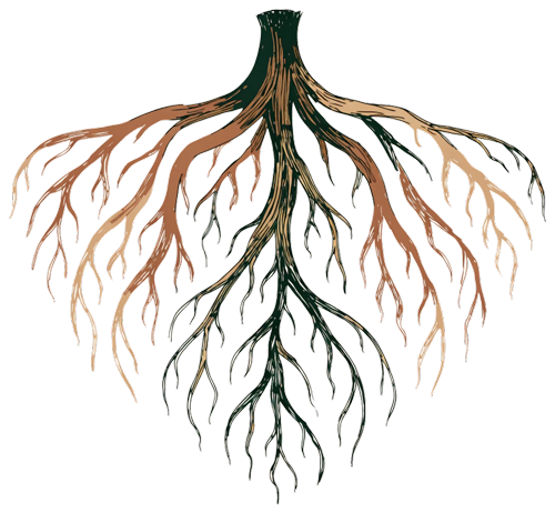 Rootedness value icon — deep grounding in self-awareness and personal health