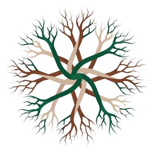 Illustration of organisational partners working together on shared learning initiatives