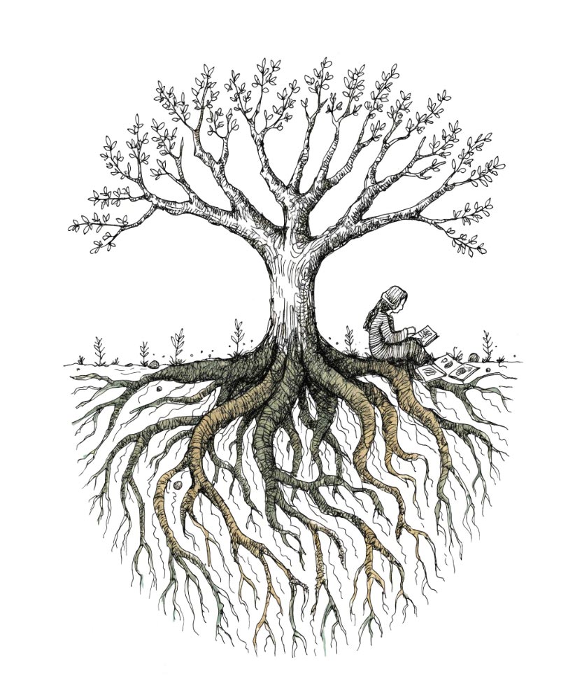 Roots of Self module — exploring identity and self-awareness through reflective practice